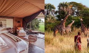 2-Day Tanzania Luxury Safari